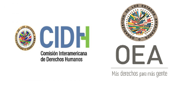 Programa de Pasantía en la CIDH dirigida a estudiantes y egresados en Derecho, Relaciones Internacionales, Ciencias Políticas y afines