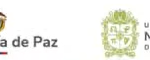 Clase #6 – Espacio de Conversación Sociojurídico para la Paz Urbana