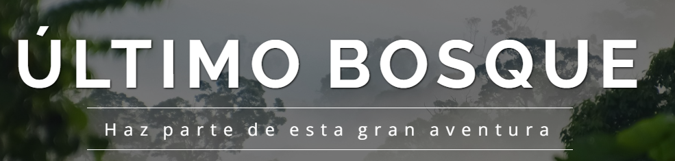 Presentación: Cantos a la Madre Selva
