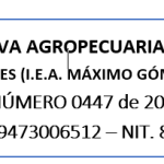 La educación abraza la memoria: la escuela como territorio de paz – Institución Educativa Agropecuaria Sigifredo Gutiérrez