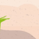 Novena Asamblea del Encuentro Amplio del Exilio