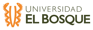 Programa: UNIENDO VOCES CONSTRUIMOS PAÍS